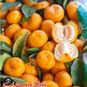 jeruk Santang madu 1kg