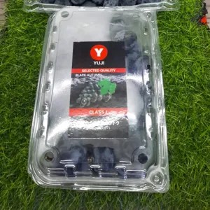 Anggur Autumn Seedless