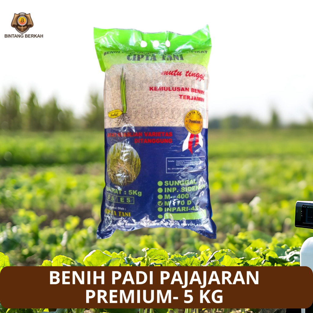 Benih Padi Pajajaran 5 Kg Benih Padi Padjajaran Unggul Bersertifikat