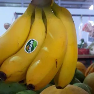 pisang cavendish 1kg