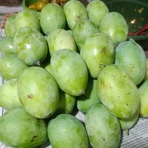 mangga manalagi 1kg