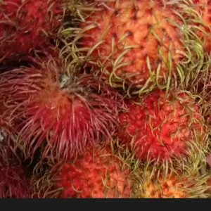 Rambutan binjai 1kg