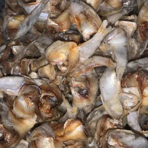 Ikan Asin Bulu Bebek/Entok 100g