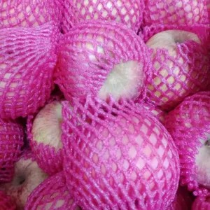 apel fuji premium 1kg