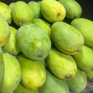 mangga harum manis (mengkal) 1kg