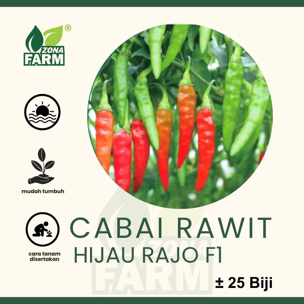 Benih Cabai Rawit Hijau Rajo F1 Unggul 25 Biji