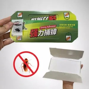 Perangkap Kecoa lem kecoa