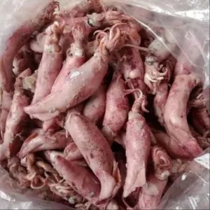 Ikan Cumi/Sotong Asin