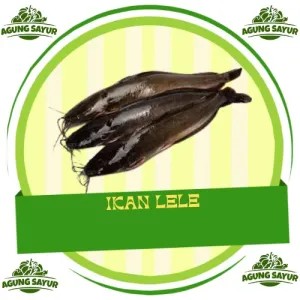 Ikan lele 1kg