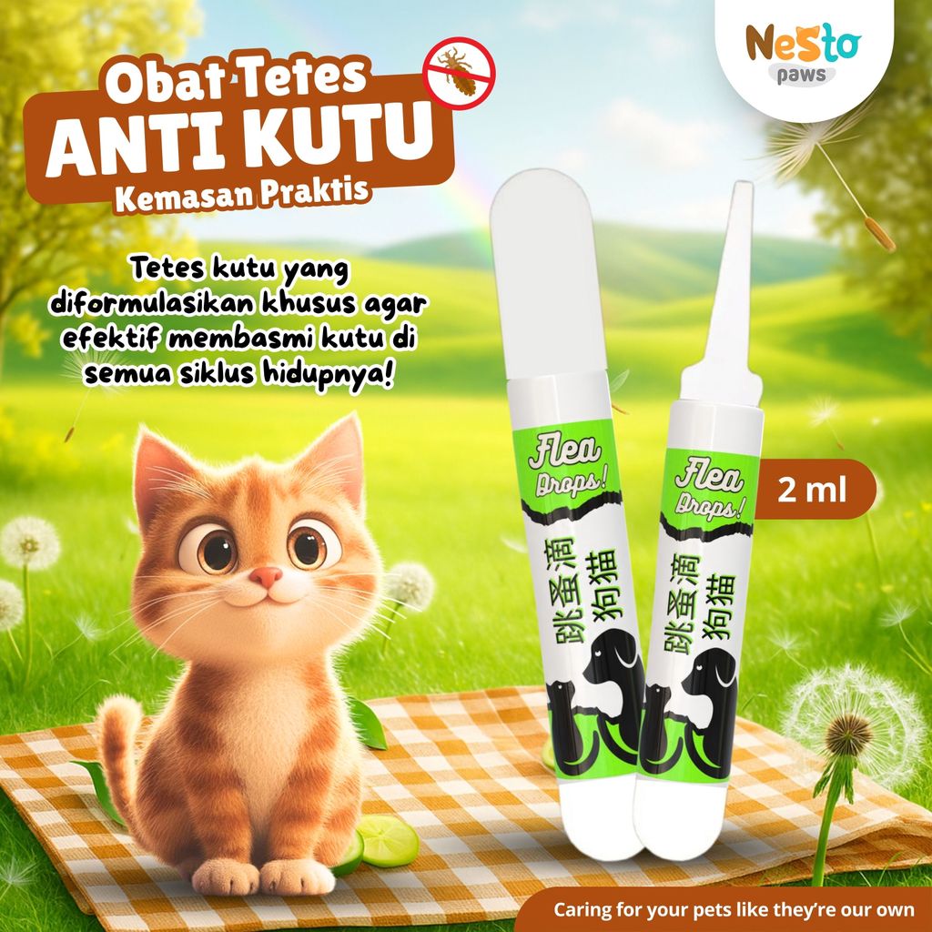 Obat Tetes Anti Parasit Kucing Praktis Aman Efektif Nestopaws