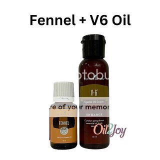 Dilute Fennel + V6 5ml 10ml 15ml YL YLEO Essential Oil Roll On