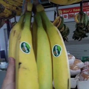 PISANG CAVENDISH 1 Kg