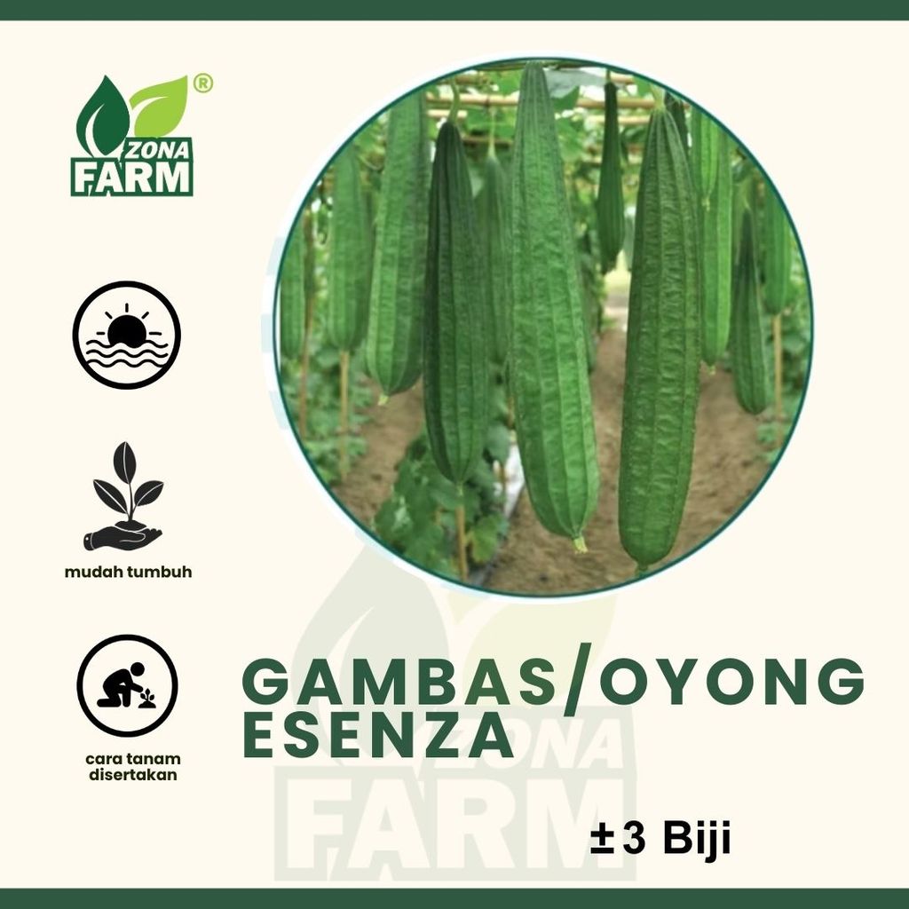 Benih Gambas/Oyong Esenza Unggul 3 Biji