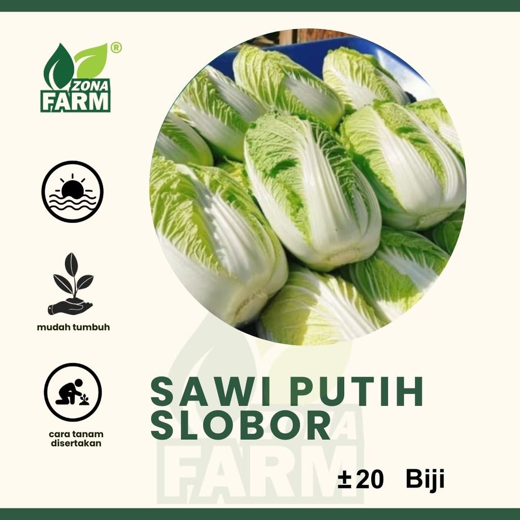 Benih sawi putih slobor Unggul 20 Biji