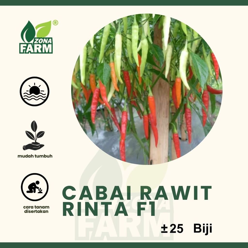 Benih Cabai Rawit RINTA F1 Unggul 25 Biji