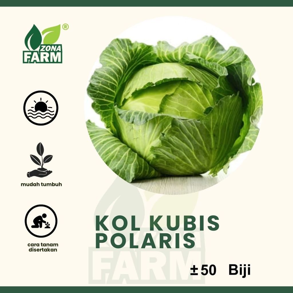 Benih Kol Kubis Polaris Unggul 50 Biji