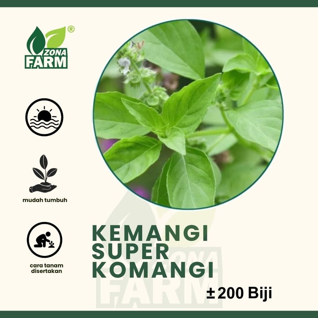 Benih Kemangi Super Kemangi Unggul 200 Biji
