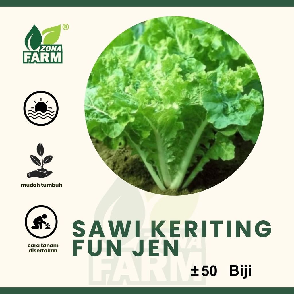Benih Sawi Keriting Fun Jen Unggul 50 Biji