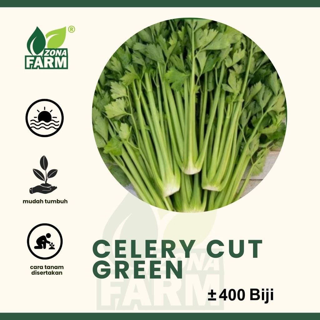 Benih Celery Cut Green Unggul 400 Biji