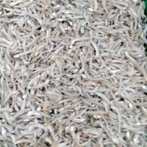 teri medan tawar 100g