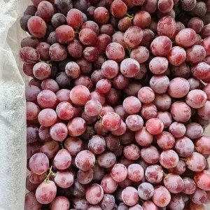 anggur merah Australia 1kg