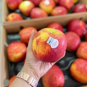 apel envy jumbo 2 buah