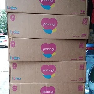 Air mineral pelangi cup kecil 120 ml Dus 120ml