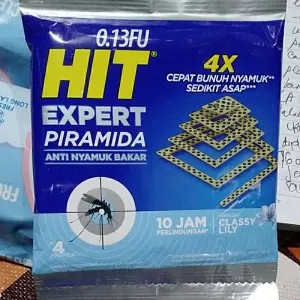 HIT expert piramida