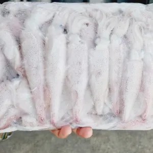 frozen cumi cantik frozen seafood/ frozen food 1kg