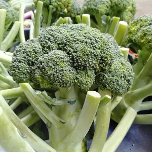 Brokoli 1kg