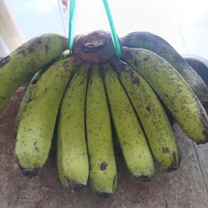 Pisang Ambon Lembang 1kg