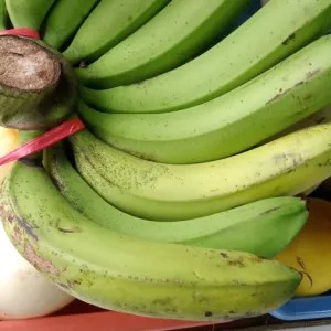 pisang Ambon lumut Lembang