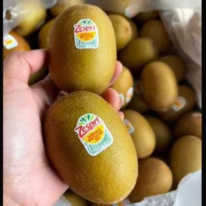 Kiwi Gold Zespri