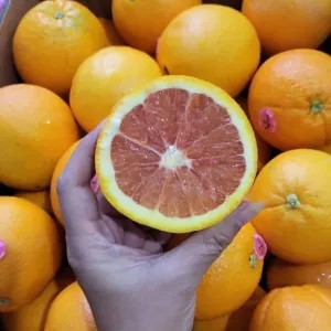 Sunkist Navel Cara Cara