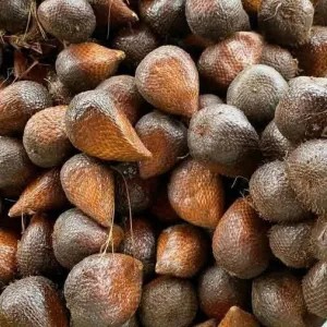 Salak pondoh 1kg