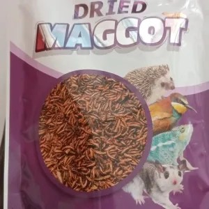dried maggot