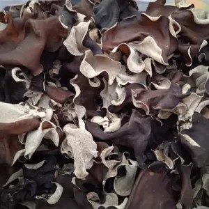 jamur kuping kering 1kg