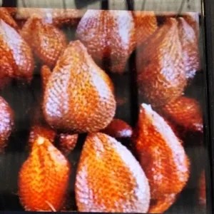 Salak Pondoh Madu 1kg