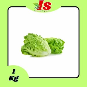 Selada Romaine 1 Kg