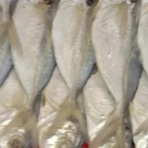 ikan asin selar