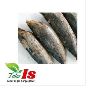 Ikan Cue Tongkol ( Cakalang )  1 Kg dan 250gram