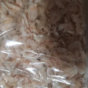 UDANG REBON halus 50g