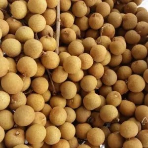 lengkeng bangkok 1kg