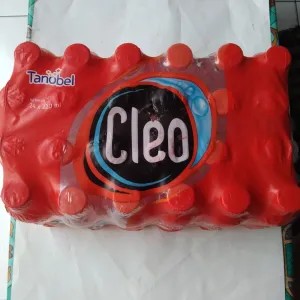 Air Mineral Cleo botol mini 220 ml