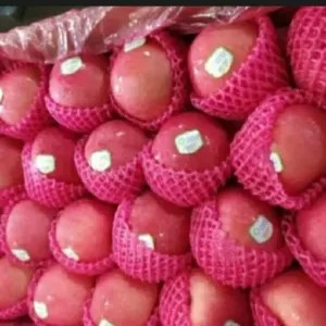 Apel fuji premium 1kg