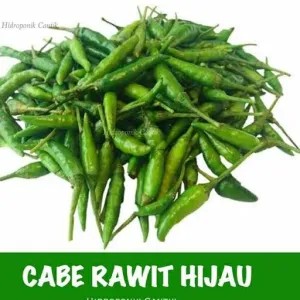 cabe rawit hijau 1kg