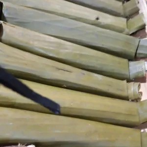 Lontong Matang 1 Pcs