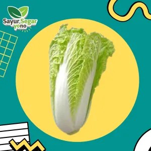 Sawi Putih 1Kg