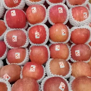 Apel Fuji Pohon Premium 1kg