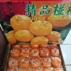Jeruk SUPER PONKAM isi 40 pcs 1per pack